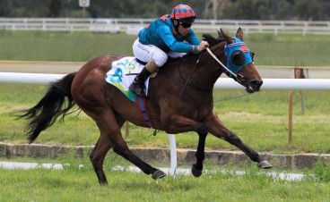Tips for Ascot Saturday 17th March